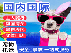 青山机场空运国际宠物托运 【国